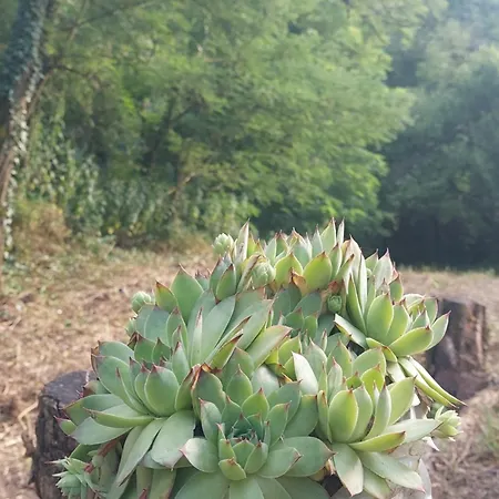 Holiday home Vikendica Ninica Irig