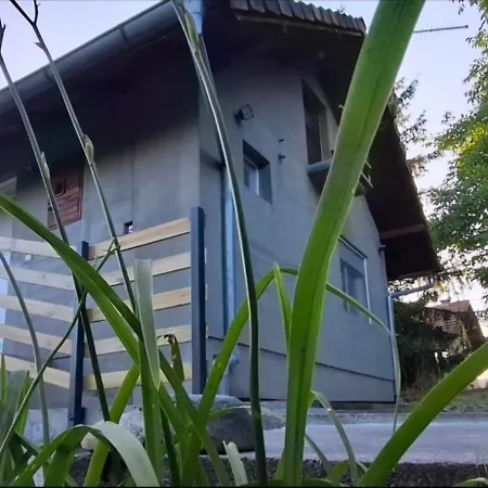 Vikendica Ninica Irig