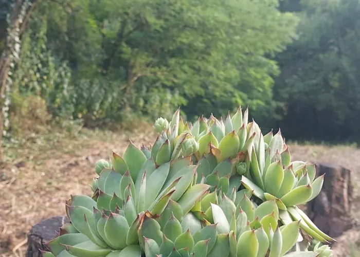 Holiday home Vikendica Ninica Irig