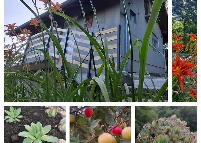 Vikendica Ninica Holiday home